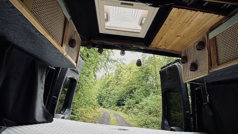 Goldy – Goldy DIY Van Ford Transit