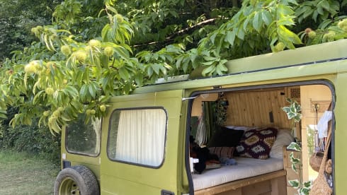 Olijfje – Vanlife Wohnmobil für 2-4 Personen
