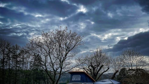 Nessie – VW T6 Campervan