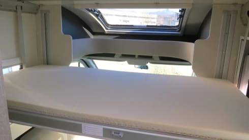 Mc4 - 331 – MCLOUIS MC4 231