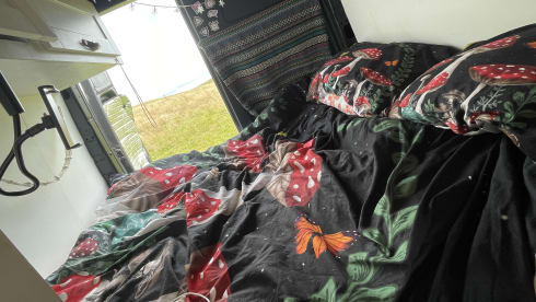 Raven – Here’s Raven, our awesome Sprinter van