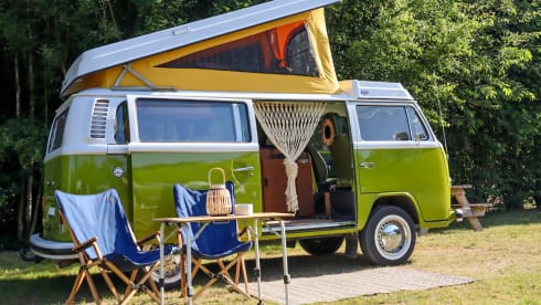 Sanseveria – Volkswagen T2b Westfalia Berlin '77