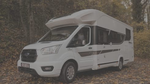 Benimar Cocoon 463 / 4 persons / new