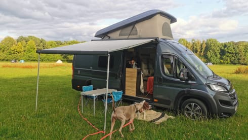 The Hunterwagen! – 4 berth Hymer Sierra Nevada Campervan 2020