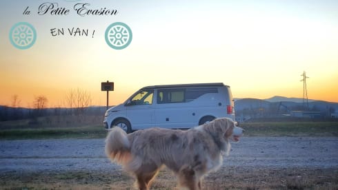 Van – Furgone Fuga