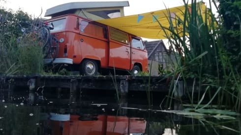 Orange  – Hip Orange retro Volkswagen T-2 Camper
