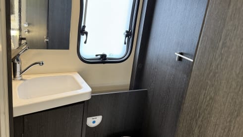 Forest – 6 berth Roller Team  675 Auto