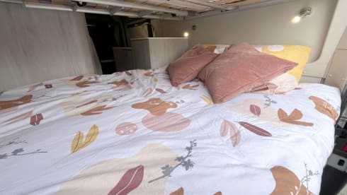 Niceshot  – Brand new van