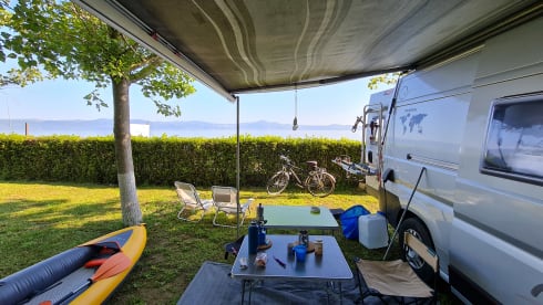 TheTripTherapy – If you can dream it you can do it.