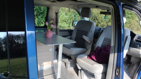 Dragonfly – VW California