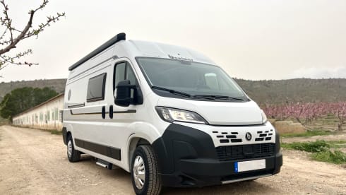 4p Benimar bus from 2026