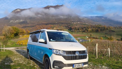 Van – Furgone Fuga