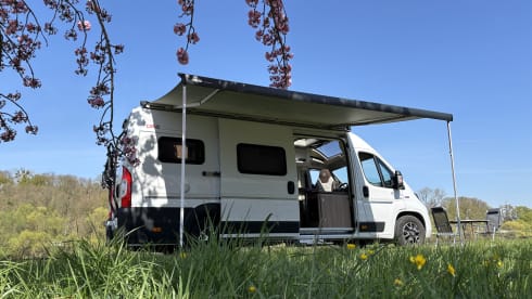 Dreamer – 3p Fiat bus from 2023