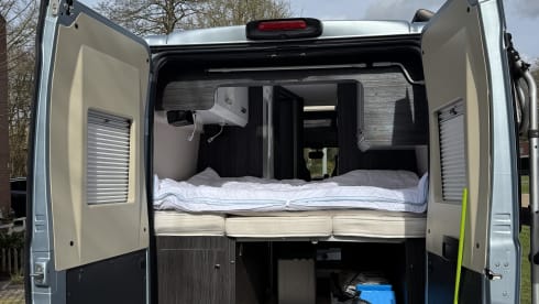 3p Benimar bus from 2019