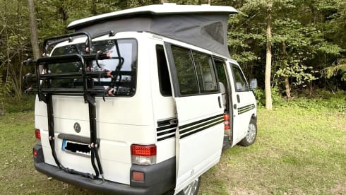 WEST – Westfalia Volkswagen T4