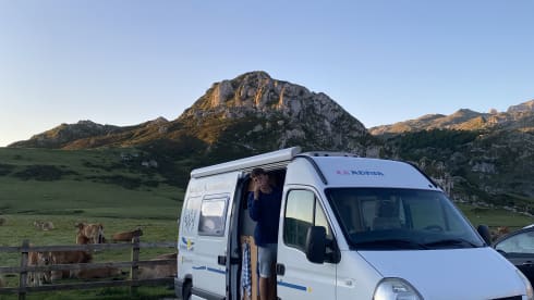 3p Adria Campervan