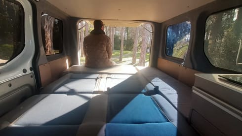 Liberté – Van Renault Traffic