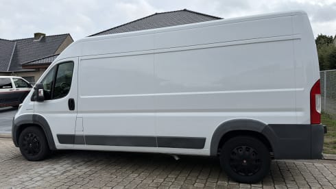 Bobo – 2p Fiat bus uit 2018