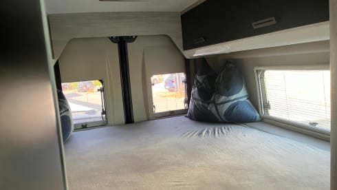 Rollerteam Livingstone Duo Xl