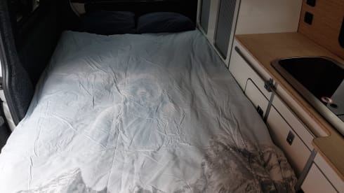 Alegria – 4p Volkswagen campervan from 2018