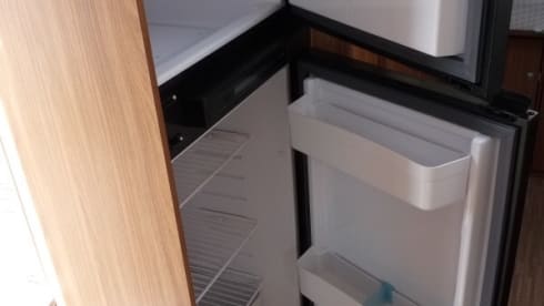 SAMEN OP WEG – Carado T449 Perfect 10 Edition