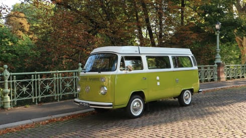 Sanseveria – Volkswagen T2b Westfalia Berlin '77