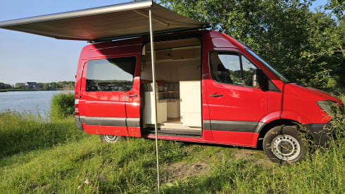 Solide – 2p Mercedes-Benz bus from 2015