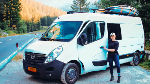 Moos Movano – 2p Other bus from 2013