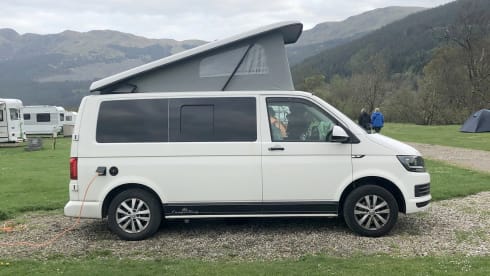 Petunia – Petunia the Campervan