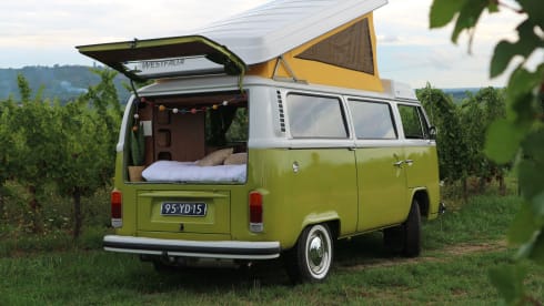 Sanseveria – Volkswagen T2b Westfalia Berlin '77