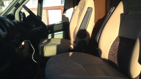 Bert the Boxer has been sold  – Bert the Boxer..... NON disponibile dal 23/8/21