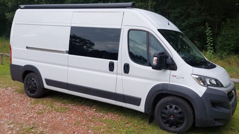 3p Fiat bus from 2017