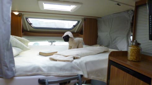 Carado T338 familiecamper – Luxurious spacious family camper, almost new and fully equipped. 