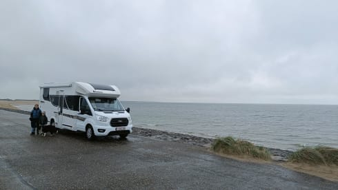 Luxury Ford Cocoon 463 - AUTOMATIC - Winter version - 2022