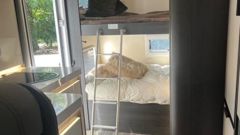 Jenny – 4p Roller Team semi-integrated from 2022