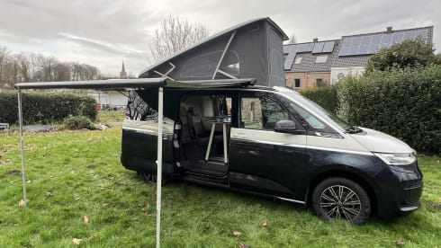 VW California Ocean T7 (2026) blauw-wit