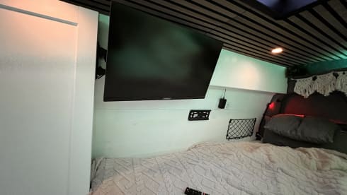 Bert – Ready for almost any adventure