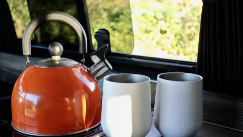 Colin – Our new high spec VW T6 Campervan who's keen to travel with you