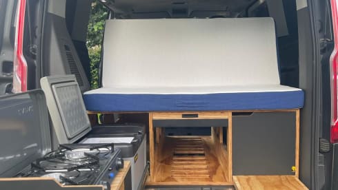 Van Mercedes classe V