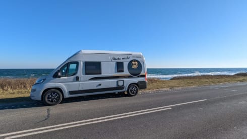 Der echte Norden Nr. 2 – bunk31 #2