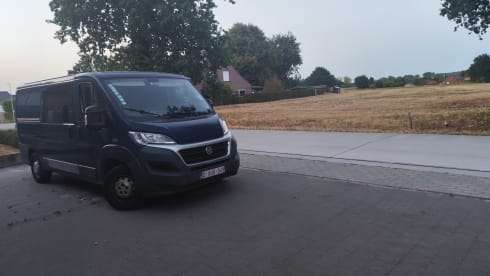 2p Fiat campervan uit 2016
