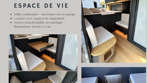 Pikatchu – 3p Fiat bus from 2021