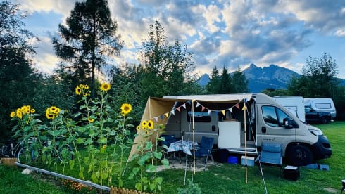 Camp en jo – 4p Peugeot bus uit 2025