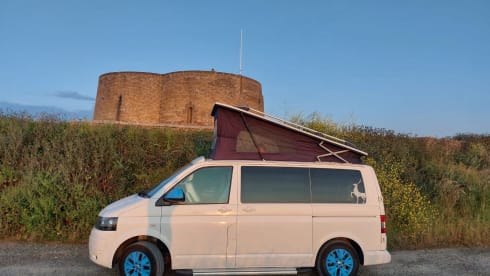 Dora – 2 berth Volkswagen bus from 2014