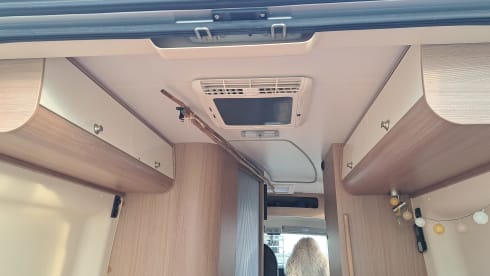SunnieSunliving – 2-person Fiat Ducato bus from 2017