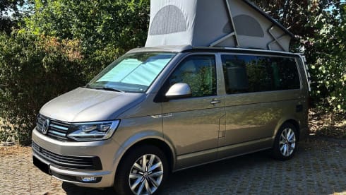 Hotel California  – VW CALIFORNIA T6 OCEAN 204 PK AUTOMAAT