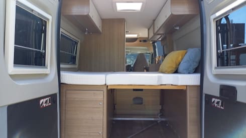 Brizzi – 2p Carado bus from 2024