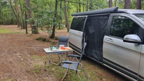 Take some Days Off with 4p Mercedes Marco Polo from 2024
