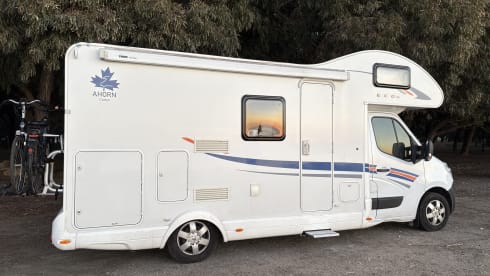 5p Ahorn alcove uit 2019