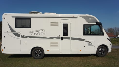 4p McLouis Yearling integrated uit 2021